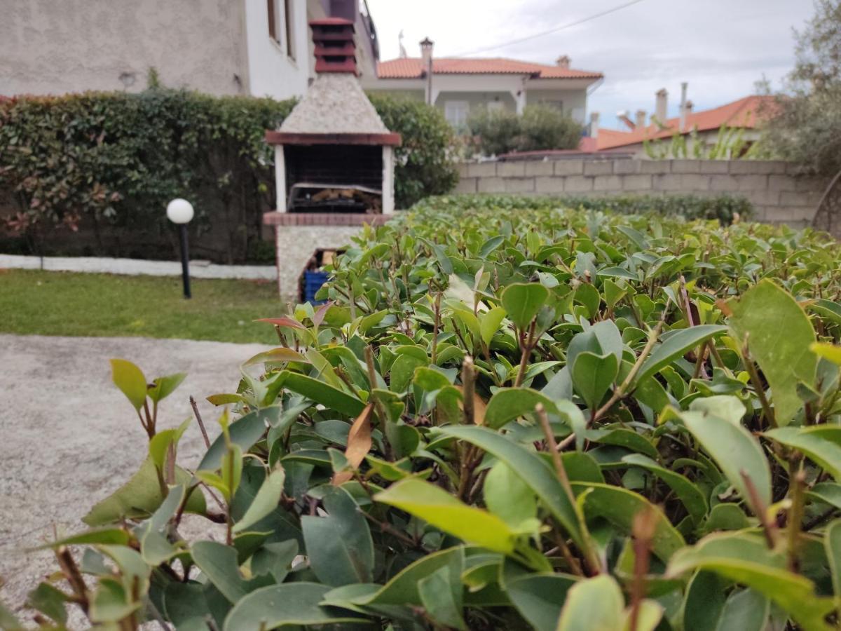 Elina House Villa Nikiti  Luaran gambar